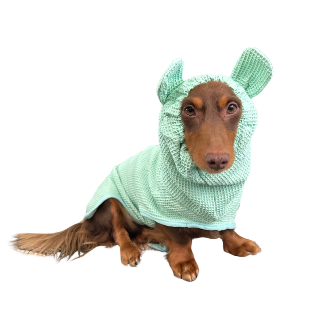 dachshund bathrobe