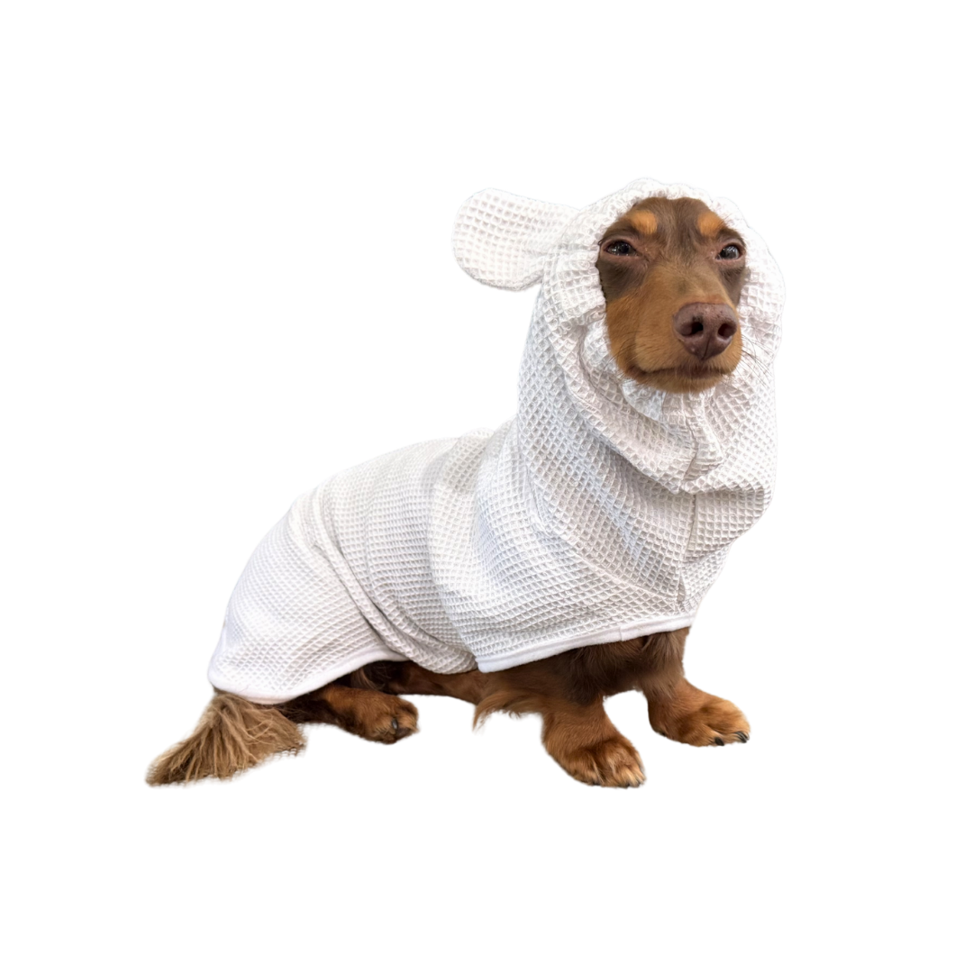dachshund bathrobe