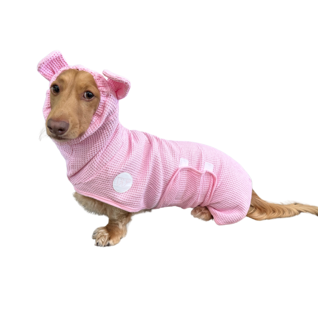 dachshund bathrobe