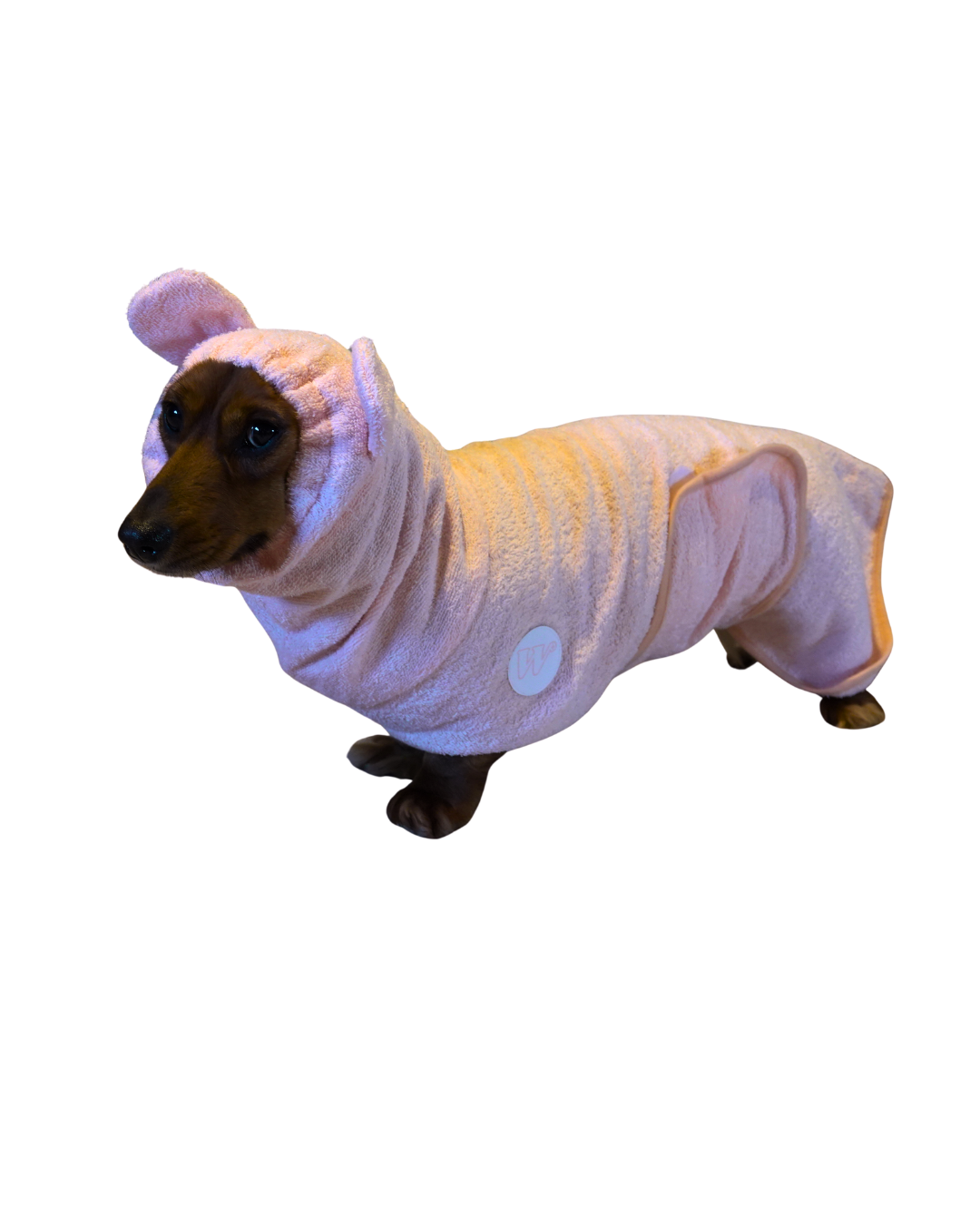 dachshund bathrobe