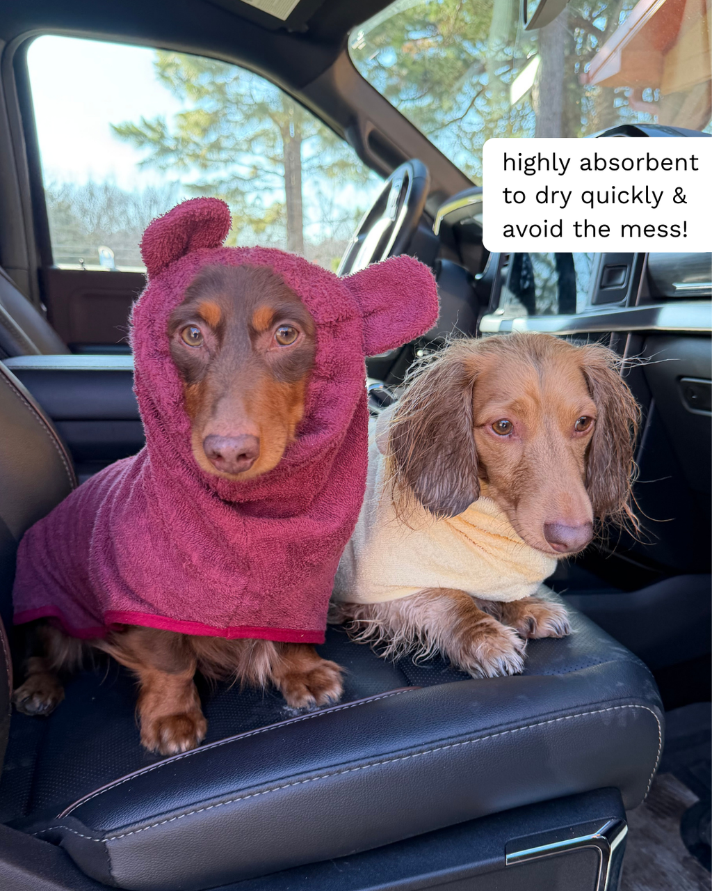 dachshund bathrobe