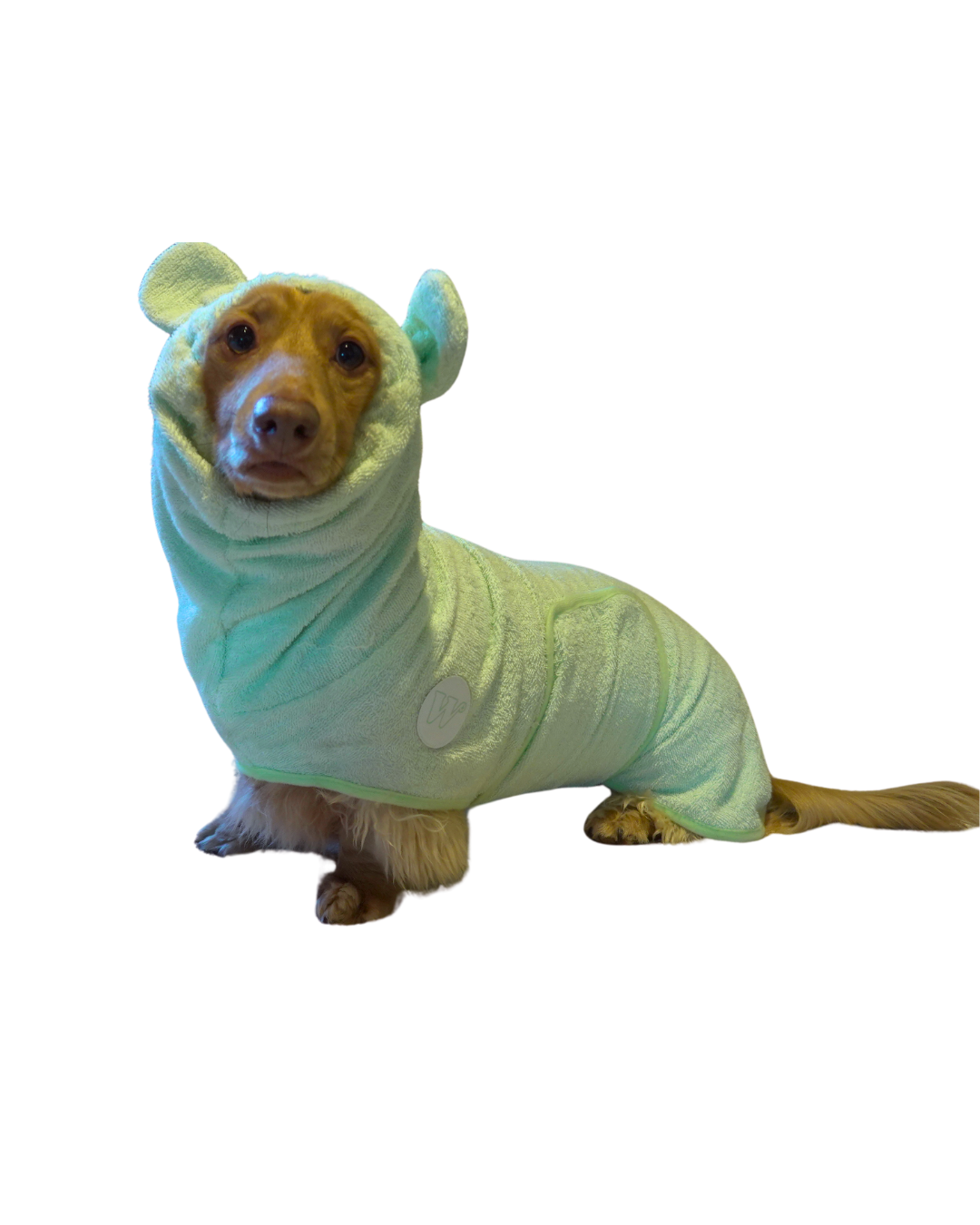 dachshund bathrobe